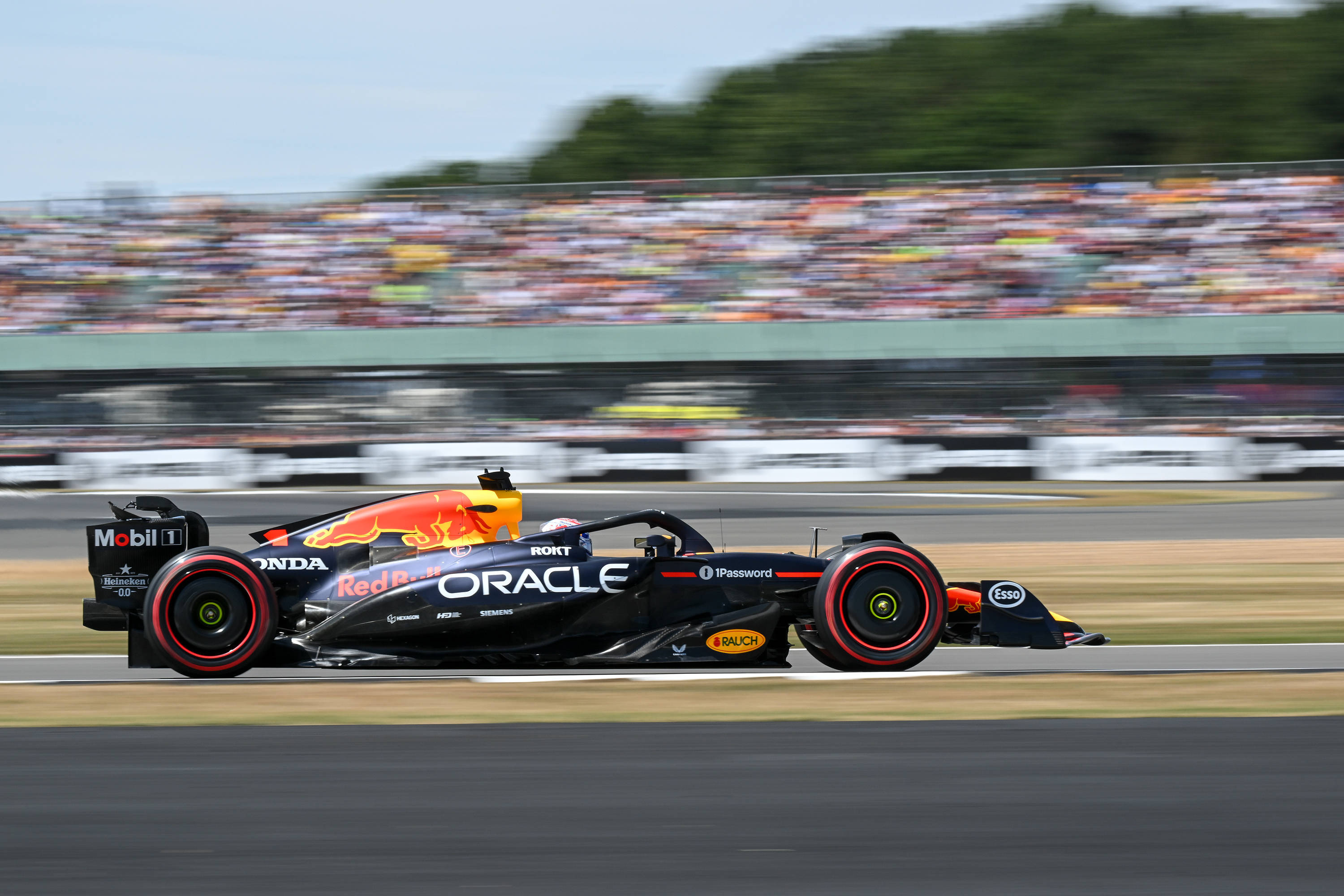 雷诺车队完胜哈斯车队，维斯塔潘扛起全队