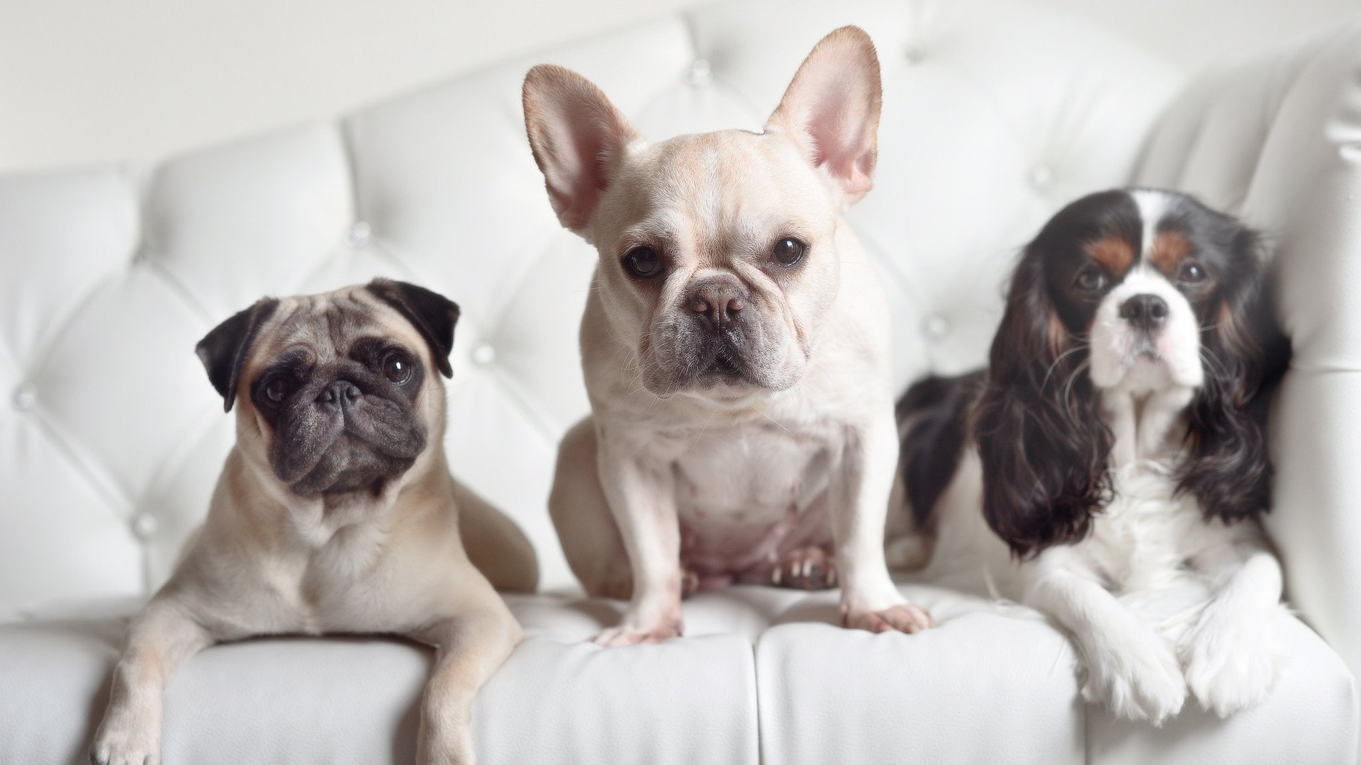 1-0背后的战争,瑞士战术完胜几内亚,凯恩89分钟绝杀封神