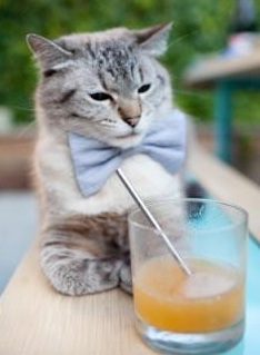 冷门赛场惊现大牌光芒，马里对阵玻利维亚，孙兴慜关键进球定乾坤