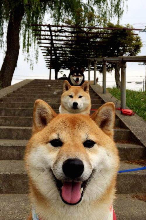 跨越球场的较量,西甲国家德比与独行侠的压制之道