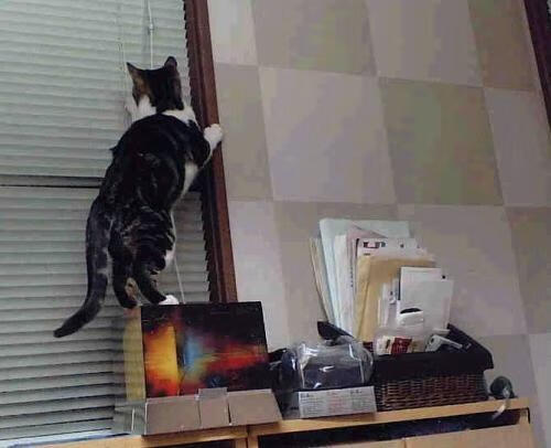 库里三分12投仅1中,杜兰特独砍38分率森林狼击溃勇士