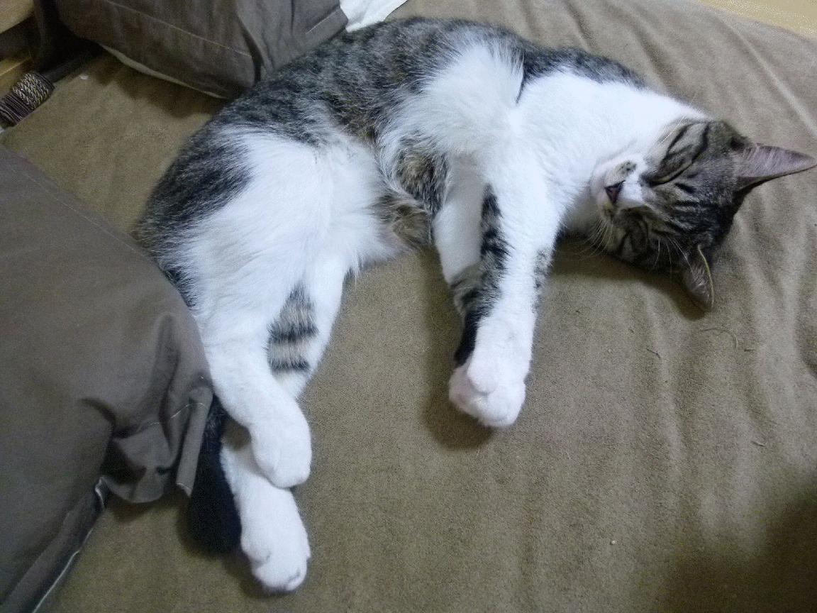 1.核心事实版，苏超新贵爆冷粉碎马德里竞技，C罗一锤定音再显关键先生本色