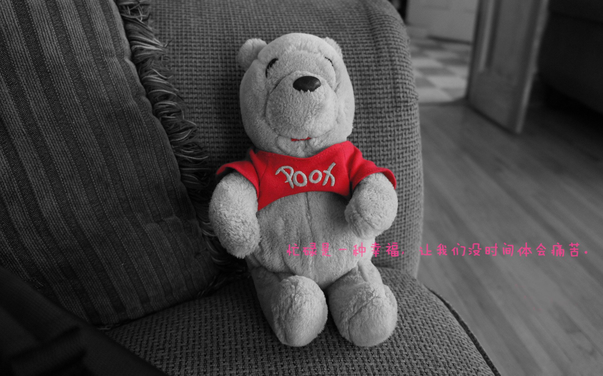 福克斯化身赤色闪电撕裂长空，火箭般升空的防守筑起钢铁牢笼锁死东北虎