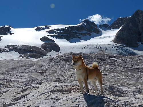 当银河战舰驶入红龙主场，卢卡库的独角戏与一场跨越时空的对决
