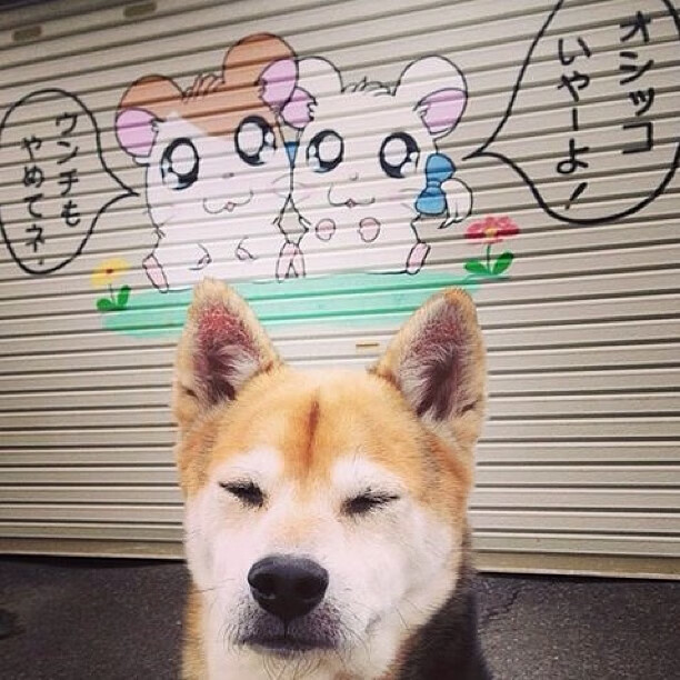 战术铁幕与个人英雄主义，努涅斯如何撕碎意甲的精密棋局