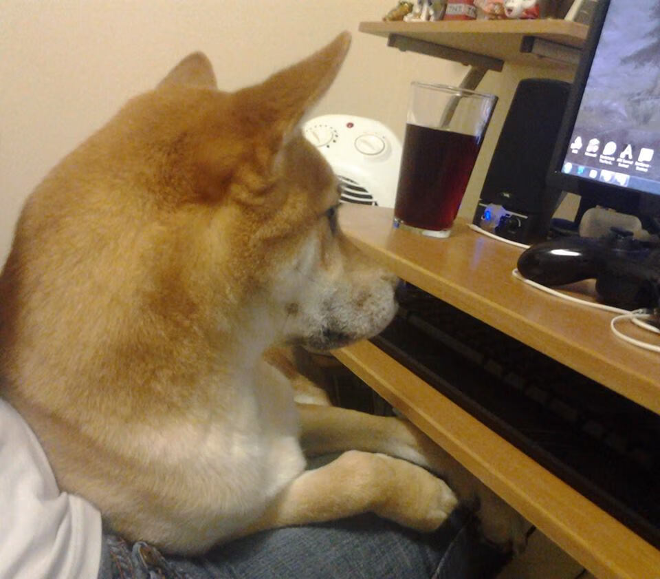 第三节的惊雷，篮网单节39-19击溃太阳，武切维奇打出转型代表作