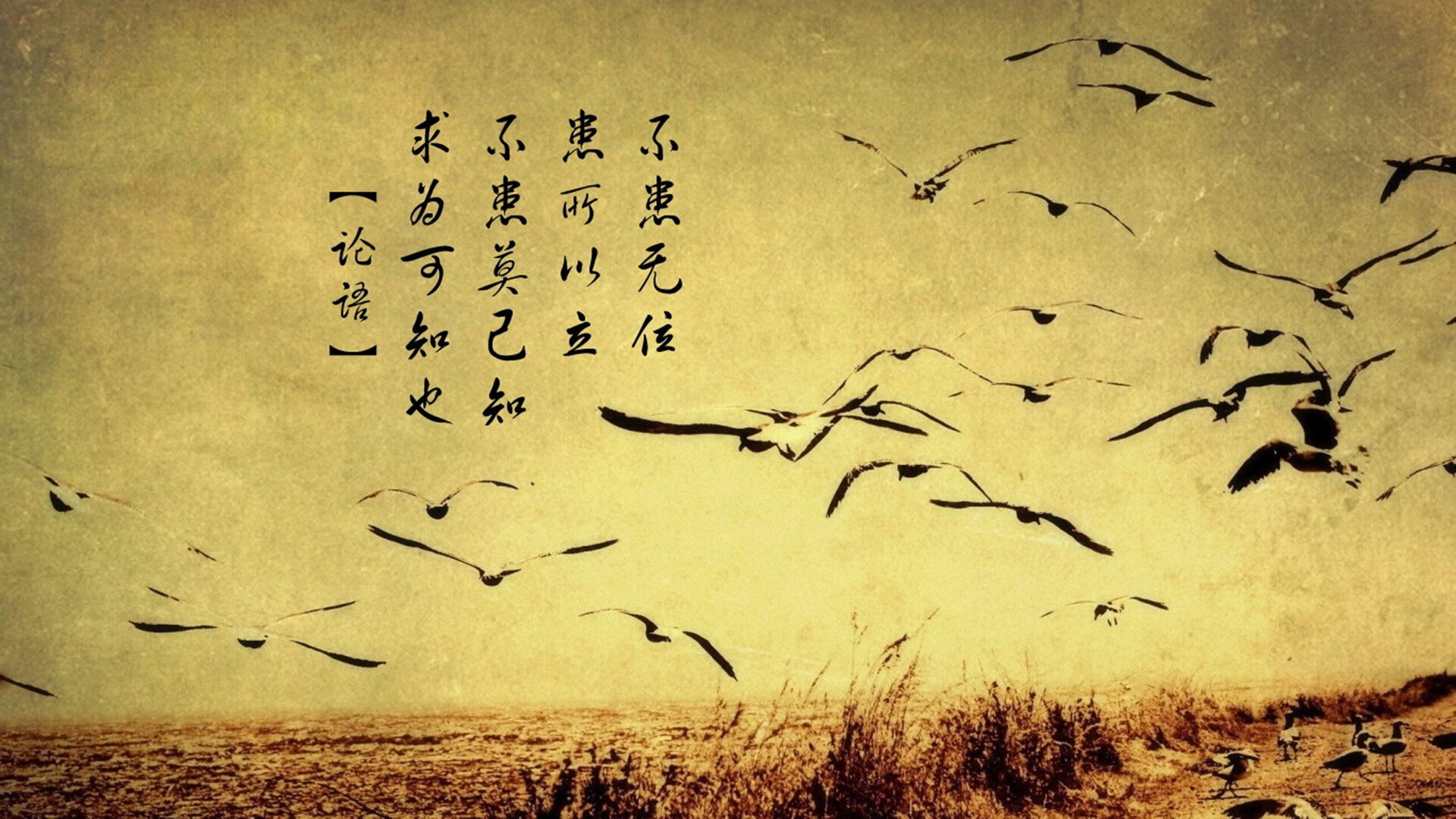唯一的光,2026世界杯C组,当日本完胜匈牙利,范戴克用铁血防守写就逆转让世界沉默