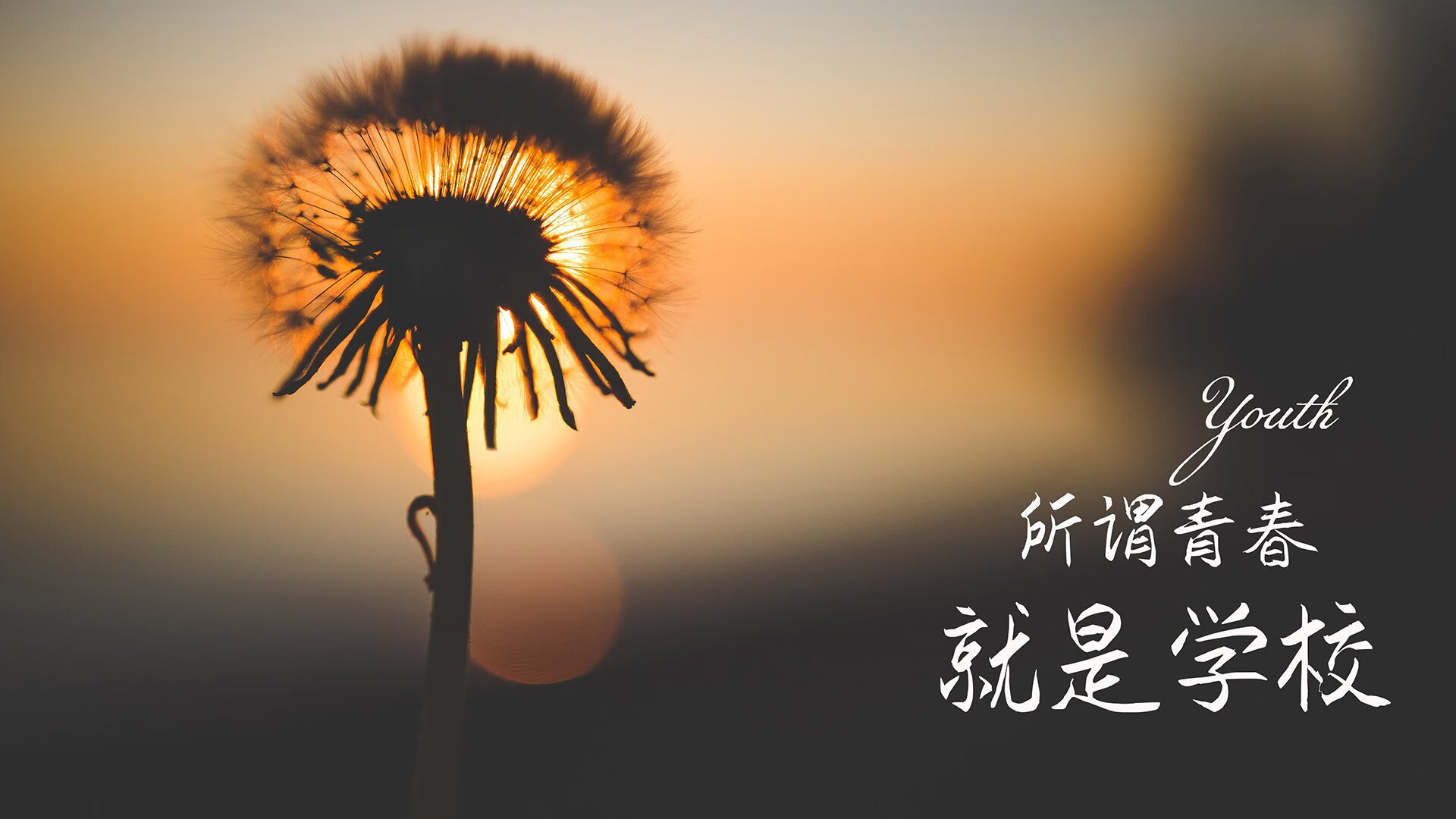 卡塔尔的奇迹之夜,2026世界杯黑马逆转法国,罗德里戈以一己之力改写足球版图